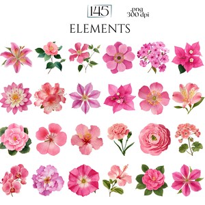 Pink Watercolor Flowers Clipart, Elegant Botanical PNG Bundle, Floral Illustrations for Wedding Invitations, Pinky Ephemera, Bloom Stickers