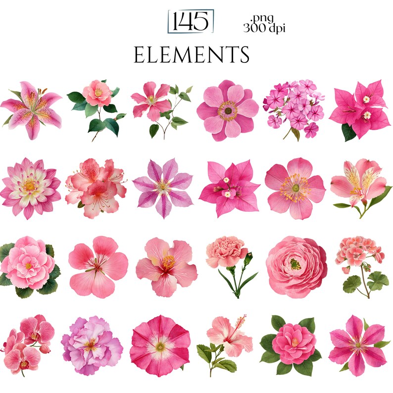 Pink Watercolor Flowers Clipart, Elegant Botanical PNG Bundle, Floral Illustrations for Wedding Invitations, Pinky Ephemera, Bloom Stickers