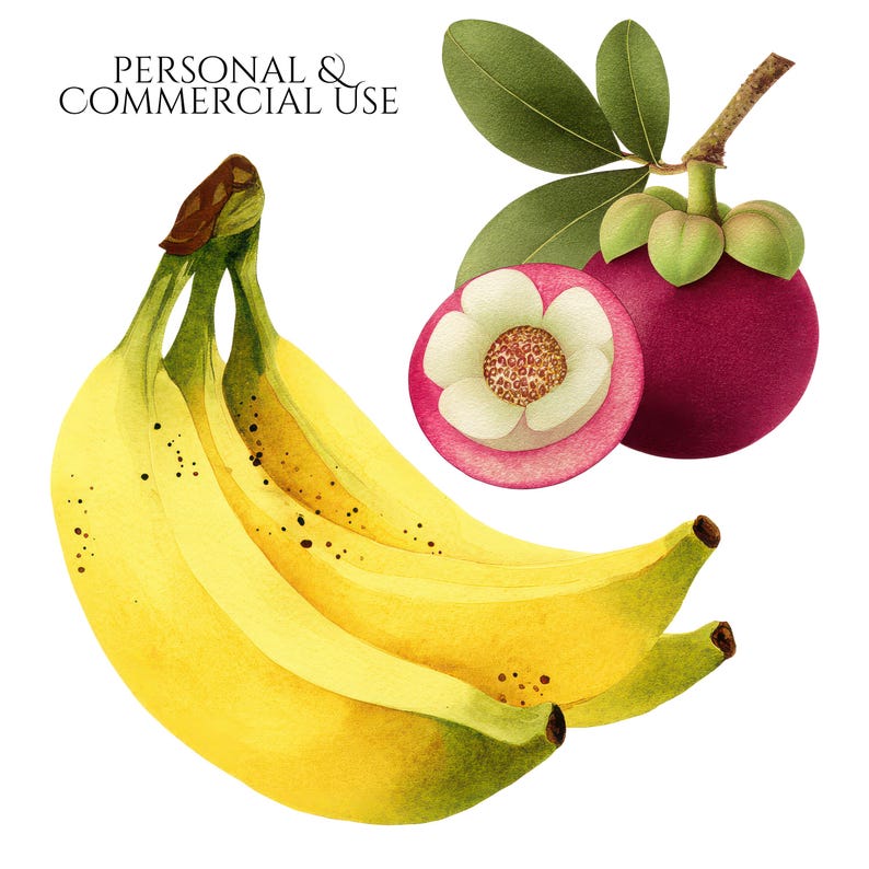 Tropical Fruit PNG Bundle,