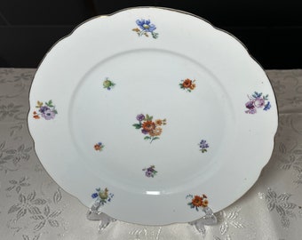 Sammelteller, Meißen Teichert Porzellan, Durchmesser 23,5 cm mit Blumen & Goldrand, 100 Jahre alter Teller