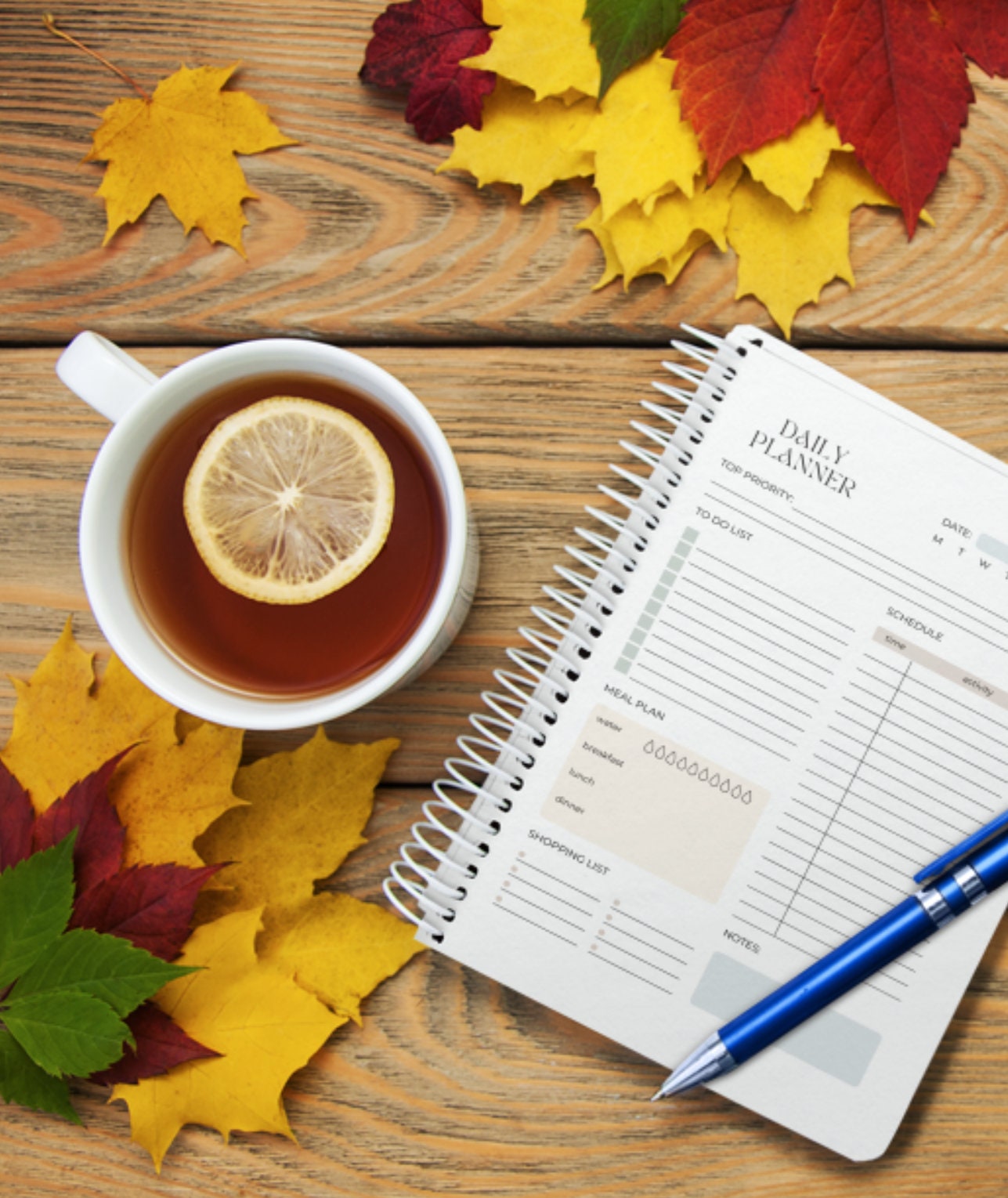 Daily to do list file for download downloadable one page etsy