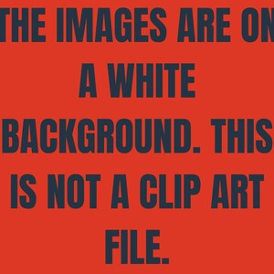 May include: Text on a red background that reads: "THE IMAGES ARE ON A WHITE BACKGROUND. THIS IS NOT A CLIP ART FILE."
