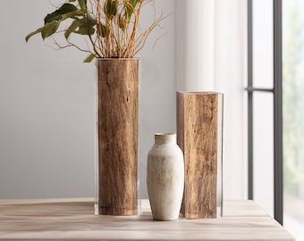 Unique Driftwood in Acrylic Vase, Modern Exclusive Wooden Table Accent, Minimalist Rustic Wood Log Decor, Frozen Nature Tall Ornament