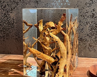 Tree Root Acrylic Home Accent | Organic Root Art | Crystal Clear Resin Object | Rustic Modern Table Decor | Nature-Inspired Shelf Decor