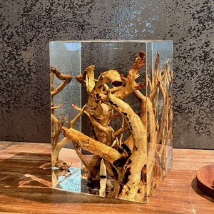 May include: A clear resin block encases a complex arrangement of natural, light brown driftwood. The wood pieces are intricately intertwined, creating a unique, organic sculpture. The block is rectangular and sits on a wooden surface.