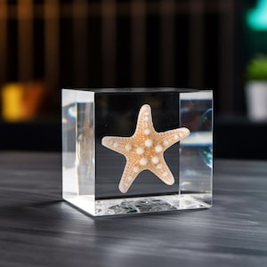 Puede incluir: Un pisapapeles de cubo transparente con una estrella de mar blanca en su interior. La estrella de mar es de color marrón claro y tiene puntos blancos.