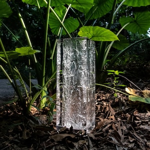 May include: A clear glass vase with a textured surface. The vase is standing on a bed of brown leaves.