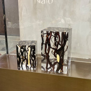 May include: Two clear glass cube-shaped containers with a dark brown, branch-like material inside. The larger container is on the right and the smaller container is on the left. Both containers have a white background.