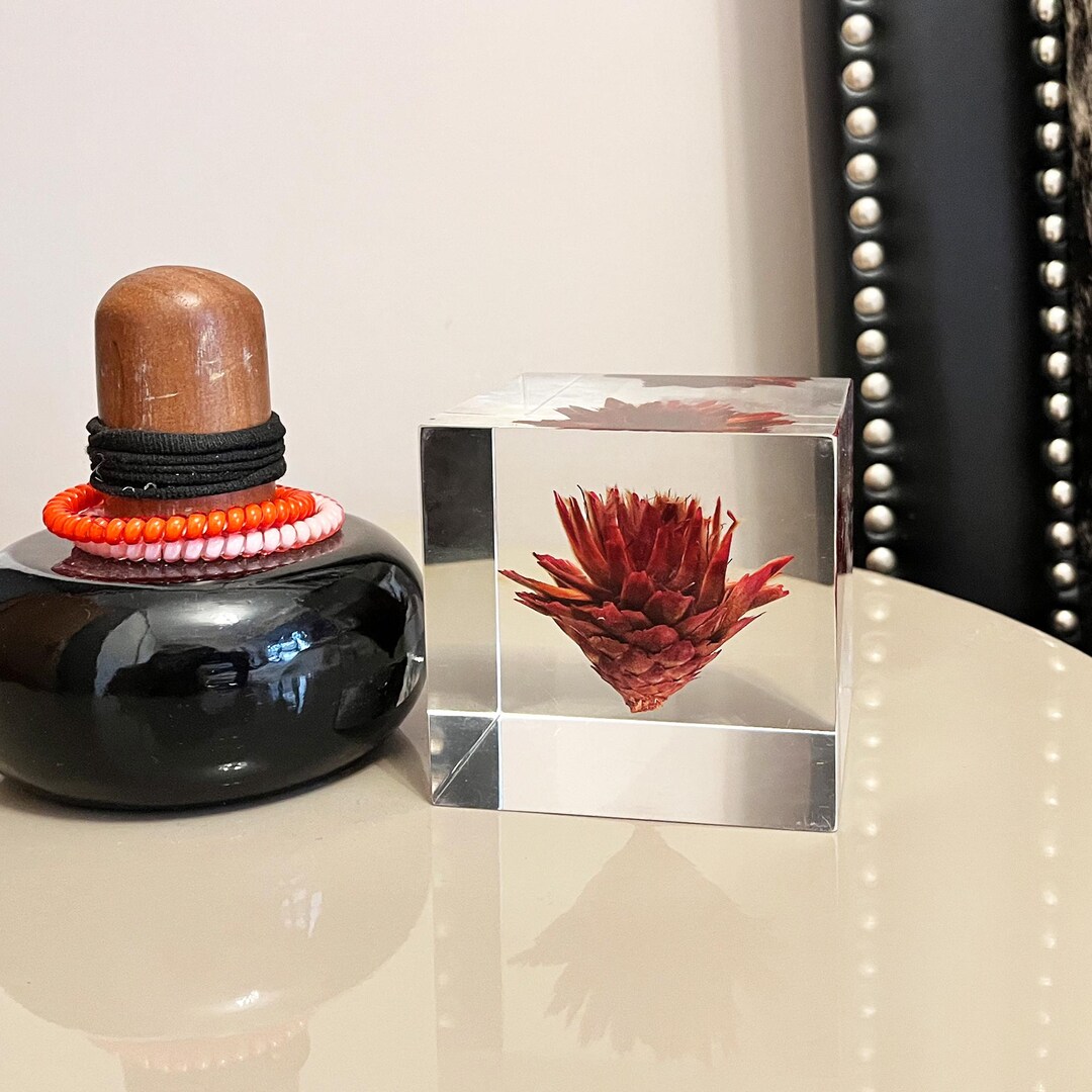 Flaming Flower Cube Clear Decor, | Frozen Nature | Botanic Art Piece ...