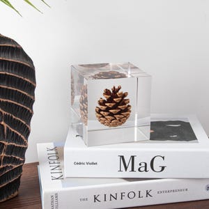 Puede incluir: Un cubo transparente con un cono de pino marrón en su interior. El cubo está colocado encima de dos libros, uno titulado "MaG" y el otro titulado "KINFOLK".