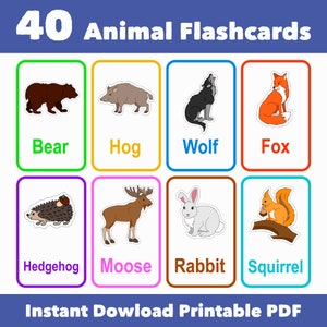 Animal Flashcards | Flashcards | Learn Animals | Preschool Memory Game | Animal Flashcards for Kids | Printable PDF | Easy Printable