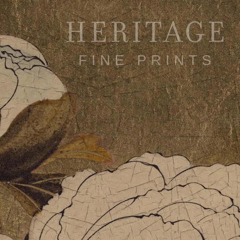 Digital print of a vintage Japanese style painting of a white peony flower with dark green leaves and a brown background. Digital download. Printable farmhouse decor. Spring decor. Floral print. Vintage print. Spring floral print. Mother's Day gift. Gift for mom.