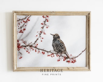 Gefleckter Vogel auf Ast Kunstdruck | Winter Bauernhaus DRUCKBAR Neutrale Malerei | Wand Kunst Digitaler Download | Erbe Fine Prints Co
