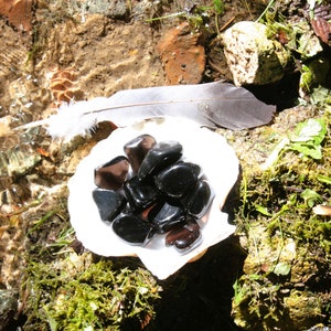Peut inclure: Un coquillage blanc rempli de pierres d'obsidienne noire roulées, reposant sur un lit de mousse et entouré d'un ruisseau d'eau claire et d'une plume blanche.