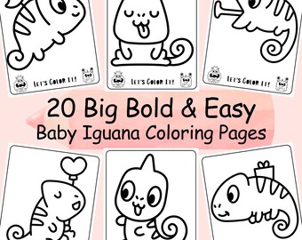 20 Funny Iguana Coloring Pages for Baby Boy, Bold and Easy Coloring Pages for Toddlers, Cute Animals Coloring Pages for Kids, Activity Book