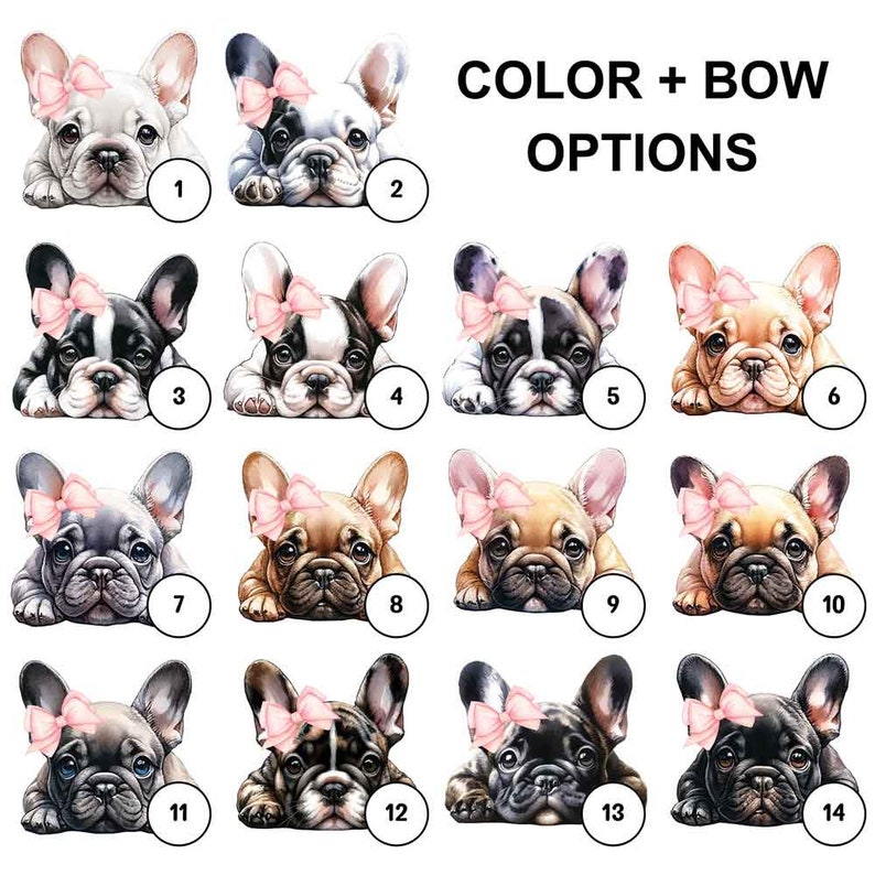 Frenchie Bulldog with a bow. Skin color options includes but not limited to white, brindle, fawn, gay, blue and black.