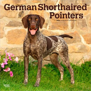 May include: A calendar featuring a German Shorthaired Pointer. The dog has a brown head and ears, with a spotted coat of brown and white. The calendar is set against a stone wall and green grass, with pink flowers in the foreground. The text "German Shorthaired Pointers" is at the top.