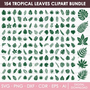 Tropical Leaves Svg Bundle, Monstera Leaf Svg, Jungle Leaves Clipart, Leaves Silhouette, Palm Branch Svg, Palm Leaf Svg, Instant Download