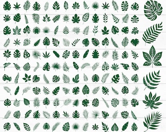 Tropische bladeren Svg bundel, Monstera blad Svg, jungle bladeren Clipart, bladeren silhouet, palmtak Svg, palmblad Svg, Instant Download