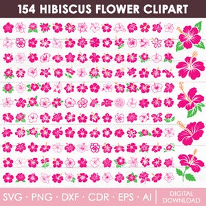 Hibiskus-Svg-Bundle, Hibiskus-Blume-Svg, Hawaii-Blume-Svg, Hibiskus-Blume, Hibiskus-Svg-Bundle, Blumen Clipart, Schnittdateien, sofortiger Download