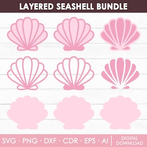 Seashell Svg, Seashell Outline, Solid Seashell, Layered Seashell Svg, Sea Shell Svg, Seashell Silhouette, Seashell Vector, Instant Download
