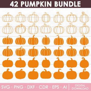 Pumpa Svg Bundle, Pumpa Svg, Höst Svg, Thanksgiving Svg, Höst Clipart, Pumpavektor, Pumpasilhuett, Klippfiler, Direktnedladdning