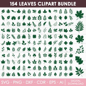 Puede incluir: Una colección de 154 diseños de hojas verdes en varios tamaños y formas. La imagen incluye el texto "154 LEAVES CLIPART BUNDLE" y los formatos de archivo SVG, PNG, DXF, CDR, EPS y AI.