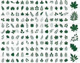 Leaves Svg Bundle, Leaf Svg, Fall Leaves Svg, Leaves Clipart, Leaves Silhouette, Plant Svg, Paper Leaves Svg, Greenery Svg, Instant Download