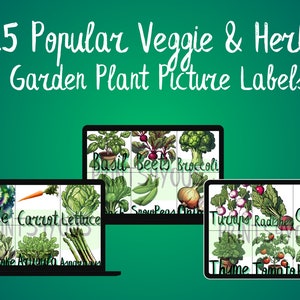 Könnte beinhalten: Ein Satz von 25 druckbaren Gartenpflanzen-Etiketten mit bunten Illustrationen beliebter Gemüse und Kräuter. Die Etiketten beinhalten Namen wie Basilikum, Rote Bete, Brokkoli, Grünkohl, Karotte, Salat, Erbsen, Zwiebel, Rüben, Radieschen, Grünkohl, Artischocke, Spargel, Thymian, Tomate und Kartoffel.