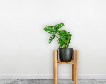 Puesto de plantas, muebles de jardín, puesto de plantas moderno de madera, jardinera de madera grande de interior, puesto de plantas de casa, regalo único para mamá