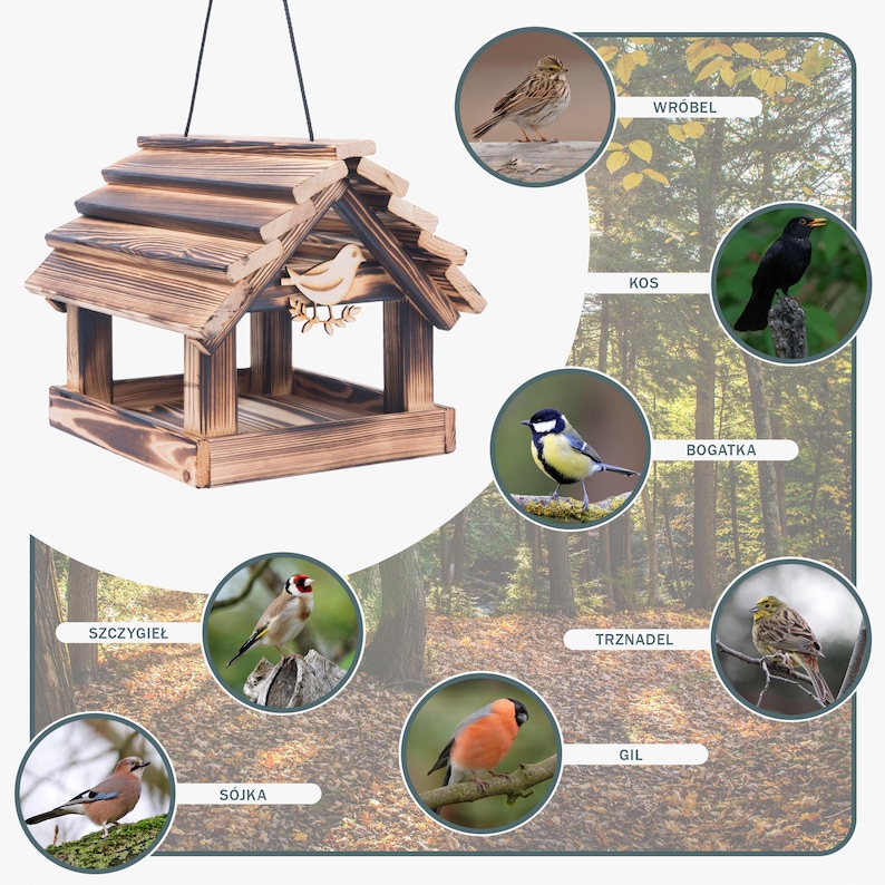 May include: A rustic, wooden bird feeder with a sloped roof and a decorative bird cutout. The feeder is suspended by a black cord. The image also features several illustrations of different bird species, including a blackbird, a goldfinch, and a blue tit.