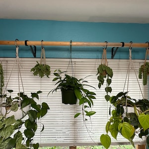 Handmade Crochet Hanging Plant