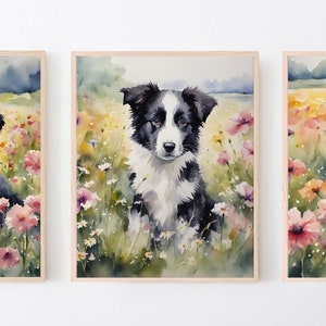 Border Collie Dog Pet Portraits, Water Color Paintings, Set of Three Prints, Kid Bedroom Decor, Playroom Wall Art, Gift For Baby Girl Shower