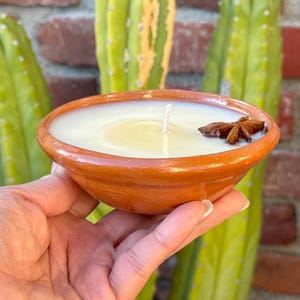 May include: A handmade candle in a small, terracotta bowl. The candle has a white wax with a single wick and a star anise pod. The bowl is held in a hand, with a cactus and brick wall in the background.