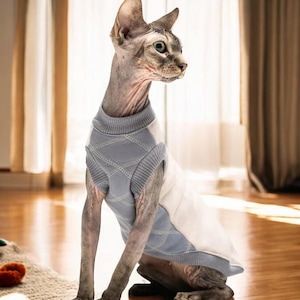 Bambino Cat Clothes Etsy