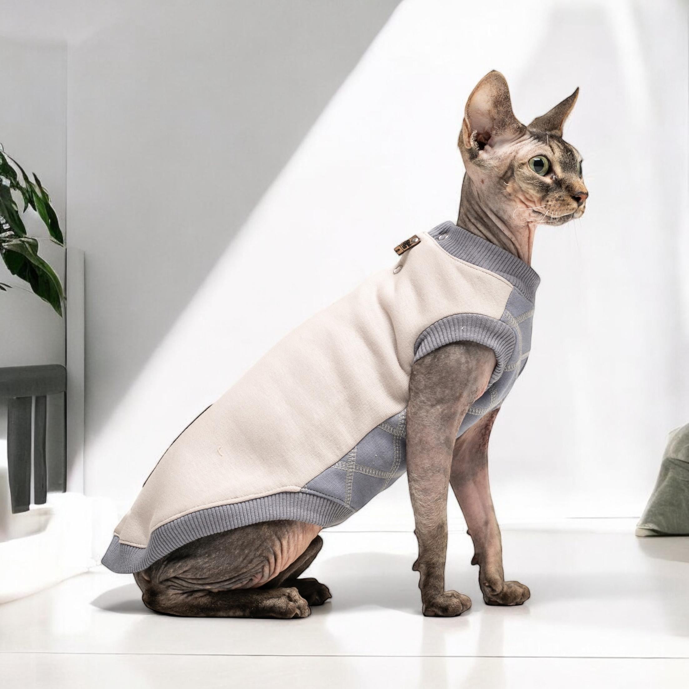 Chandail Pour Chat Sphynx Kotomoda Cat's Hoodie Sculls In Grey 100