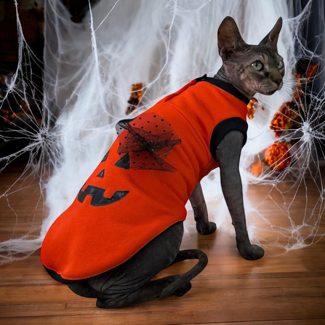 Funny Halloween Costume for Cats, Holiday Cat Gift, Orange Cat Outfit ...
