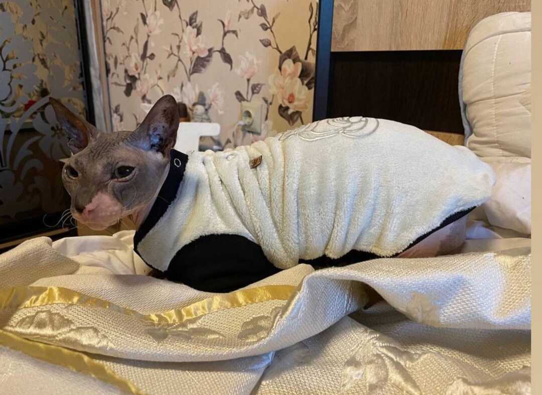 Handmade Sphynx Cat Clothes Custom Name, Cat Jacket Vest, Warm Sphynx