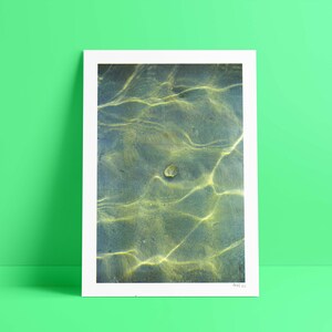 A3 Film-Fotografie Risoprint Motiv: Grüne Muschel mit Sonnenstrahlen Unterwasser FLICFILM Elektra 30x43 cm Handmade Wallprint Bild 1