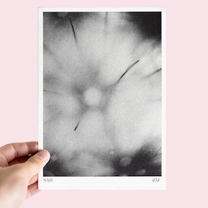 Affiche photo risographie artisanale – Gros plan d’oursin : A5 | 13 × 18 cm