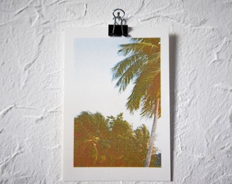 A6 Film-Photography Risoprint - Motive: Beach Palmtrees during Sunset - Kodak Ektar