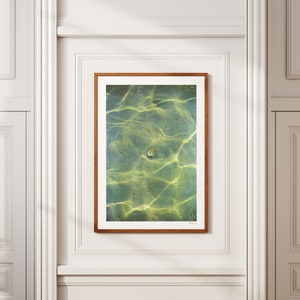 A3 Film-Fotografie Risoprint Motiv: Grüne Muschel mit Sonnenstrahlen Unterwasser FLICFILM Elektra 30x43 cm Handmade Wallprint Bild 2