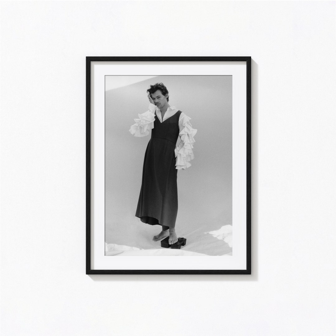 Harry Styles Posters / Harry Styles