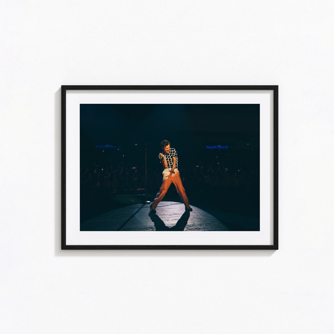 Harry Styles Posters / Harry Styles