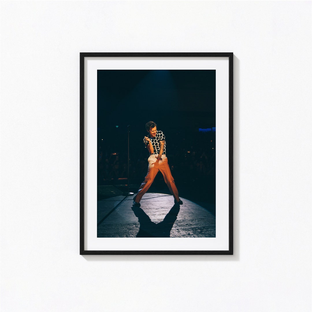 Harry Styles Posters / Harry Styles Black and White Wall Art Etsy