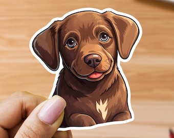 Chocolate Lab with Endearing Look - Vinyl Sticker