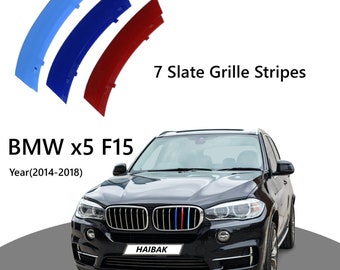 Haibak Clip in Grille Stripes Kompatibel mit BMW X5 Series und X6 Series Kidney Stripes