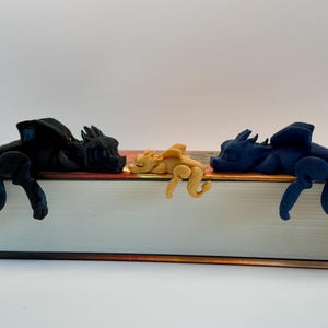 Dragon Book Buddy Trio