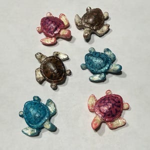 Mini Turtles set of mixed 6 (photo)