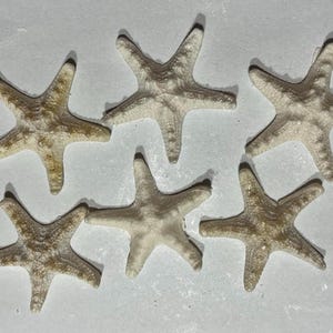 Stelle 2&quot; set da 6